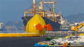 黃色小鴨,2024,高雄,10年,跌倒,鴨腳