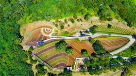 北投三層崎花海。（圖／北市府提供）