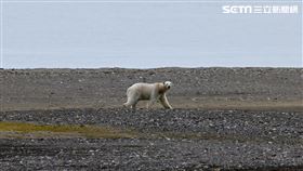 消失的國界-北極的真相（圖／消失的國界）