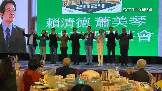 綠台中立委慘敗　市黨部檢討：輕忽盧實力