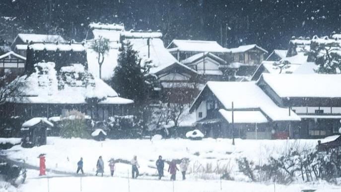 台灣團客嬉鬧雪球亂砸　小合掌村變菜市場