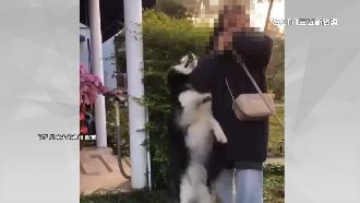 醉女闖店拉繩勒狗拍片笑　飼主控虐狗報警