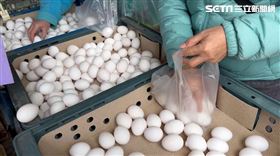 雞蛋/蛋價(翻攝畫面)