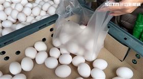 雞蛋/蛋價(翻攝畫面)