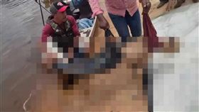 巴西一名船夫拉許（Odair Raash）在亞馬遜河意外落水，事發時無人察覺異狀，拉許落水後疑遭食人魚襲擊、啃食，3天後他的遺體在一處支流被找到，但僅剩一具骨架，畫面相當驚悚。