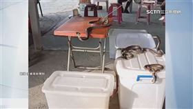 獨家／嚇！牛墟攤販「眼鏡蛇」表演　叫賣藥物引關注