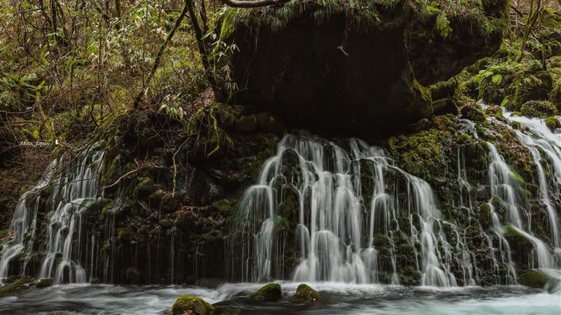 能甘飲的秋田能量景點：元滝伏流水