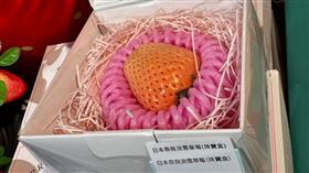 日本奈良的「淡雪草莓