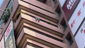 北市一名女子掛在大葉高島屋百貨外牆。（圖／民眾提供）