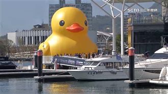 獨／黃色小鴨重返愛河灣！前4天湧百萬人