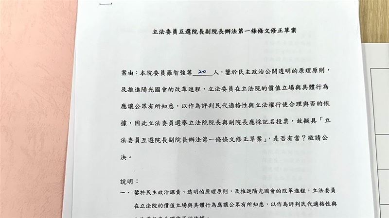 反對技術性亮票！他提國會改革天字第一案