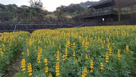 臺北捷運精選景點。(圖／北市府提供）