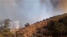 智利,內政部長,杜哈,森林大火 翻攝X