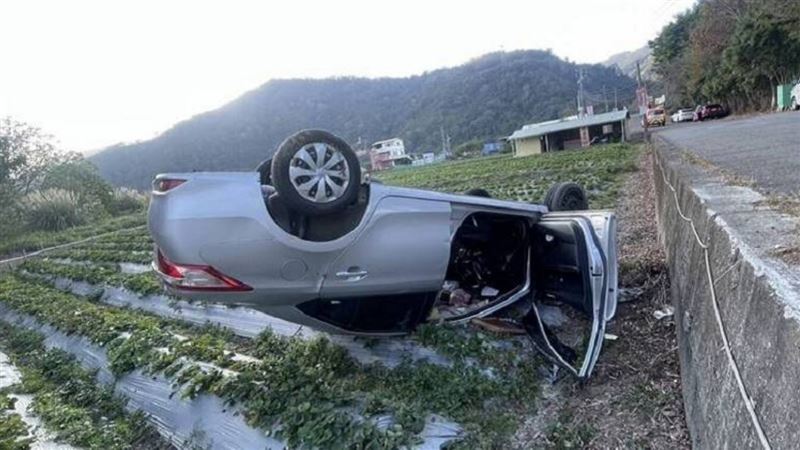 車墜「草莓園」烏龜翻　駕駛羞曝..太忘情