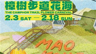 情人節年看金黃魯冰　搭貓纜買茶送霜淇淋