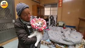 ▲劉燕玉為了照顧貓咪傾盡所有，目前已為數百隻毛孩找到新家，讓牠們重獲新生。（圖／CTWANT）