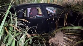 芒草,肉粽,石門,邊坡（圖／翻攝畫面）