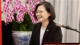 蔡總統接見史瓦帝尼王國外長戴柏莉（2）總統蔡英文（圖）2日上午在總統府接見史瓦帝尼王國外交暨國際合作部長戴柏莉（Pholile Shakantu）暨夫婿，感謝史瓦帝尼長期支持台灣的國際參與，期待未來台灣和史瓦帝尼在良好的雙邊合作機制下，持續深化各領域的夥伴關係，讓兩國邦誼發展邁向新的里程碑。中央社記者張皓安攝  113年2月2日