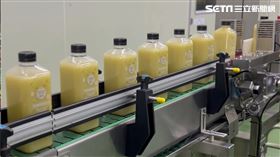 美國,好市多,芭樂檸檬綠茶,台灣