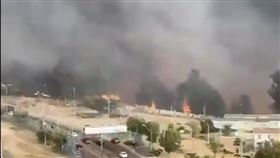 智利,內政部長,杜哈,森林大火 翻攝X