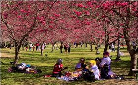 全台主題樂園大推春節連假優惠　揪你一起來過年！（業配勿用）