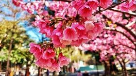 圖／北水處提供