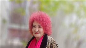 73歲「大白鯊」陳今佩（圖／記者鍾智凱攝）