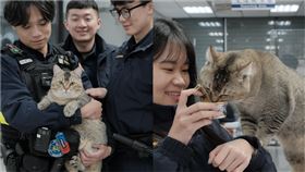 新北市，板橋，貓咪，非常重，海山分局，江翠派出所