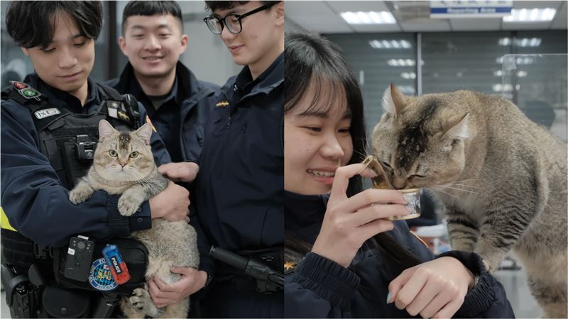 警協尋萌貓主人　特徵3個字讓網友全笑翻