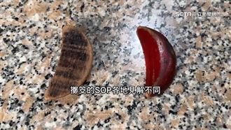 獨／擲筊學問！視問事規格決定單手、雙手