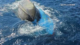 獨／漁船被撞翻　控同業態度差嗆：法院見