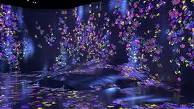 東京麻布台之丘teamLab於2/9開幕利用光影打造的數位藝術博物館teamLab Borderless將於9日在東京麻布台之丘（麻布台Hills）正式開幕，主打沒有邊界的概念，要創造一個「沒有地圖的美術館」。館內藝術品有些會移動，轉移到另外一個房間，有時還會合流產生新的作品。中央社記者戴雅真東京攝  113年2月7日