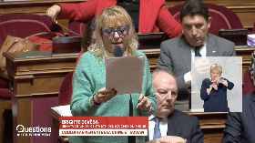 法國參議員德維莎針對M503航路質詢