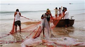 漁網-漁民-漁獲（示意圖／翻攝自Pixabay）