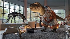 自然科學博物館親子暴龍換新裝國立自然科學博物館喜迎龍年，鎮館明星暴龍換新裝，穿上科技金屬色調新衣成「太空探險家」，反差萌樣吸睛。中央社記者趙麗妍攝 113年2月9日