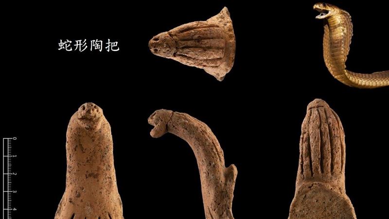 清大考古發現蛇形陶把　估距今4000年前