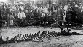 1934年的「營川墜龍事件」