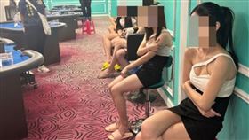 辣妹荷官（示意圖／資料畫面）