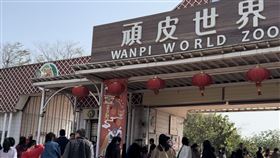 頑皮世界野生動物園,開春,大年初一,人潮