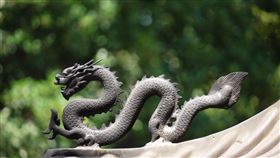 龍，龍年（示意圖／翻攝自pixabay）