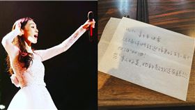 ▲范瑋琪。（圖／翻攝自范瑋琪臉書）