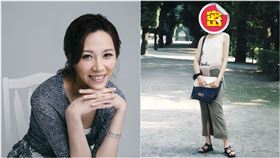 黃大米,歐洲旅行團,加利利旅行社,財經網美,胡采蘋