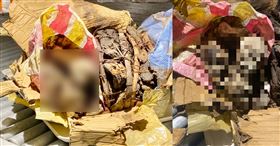 驚悚野味！男入境行李發惡臭　竟藏4猴屍(圖/翻攝自Asher Klein )
