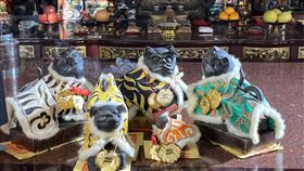 ▲鳳山五虎廟的五虎將軍（圖／寶島神很大）
