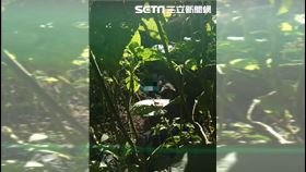 新／9旬嬤初三走春失聯　今尋獲陳屍溪谷（圖／翻攝畫面）
