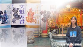 勇奪紅點設計獎保送國立大學-高芯悅／翻攝畫面