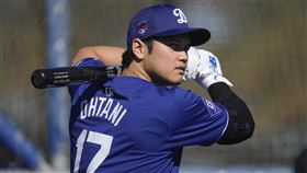 ▲大谷翔平在春訓第2次戶外練打，29次揮擊敲出10次全壘打。（圖／美聯社／達志影像）