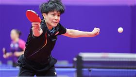 杭州亞運桌球女團分組賽首勝（1）杭州亞運桌球項目22日開賽，台灣桌球女團分組賽首戰遭遇馬爾地夫，台灣選手鄭怡靜（圖）打頭陣，在第1場以直落3勝出。中央社記者裴禛攝  112年9月22日