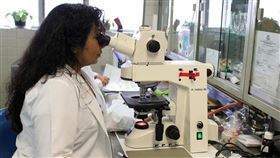 實驗室，檢驗，(圖／PIXABAY)