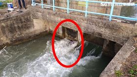 台南,水門,水庫,浮屍